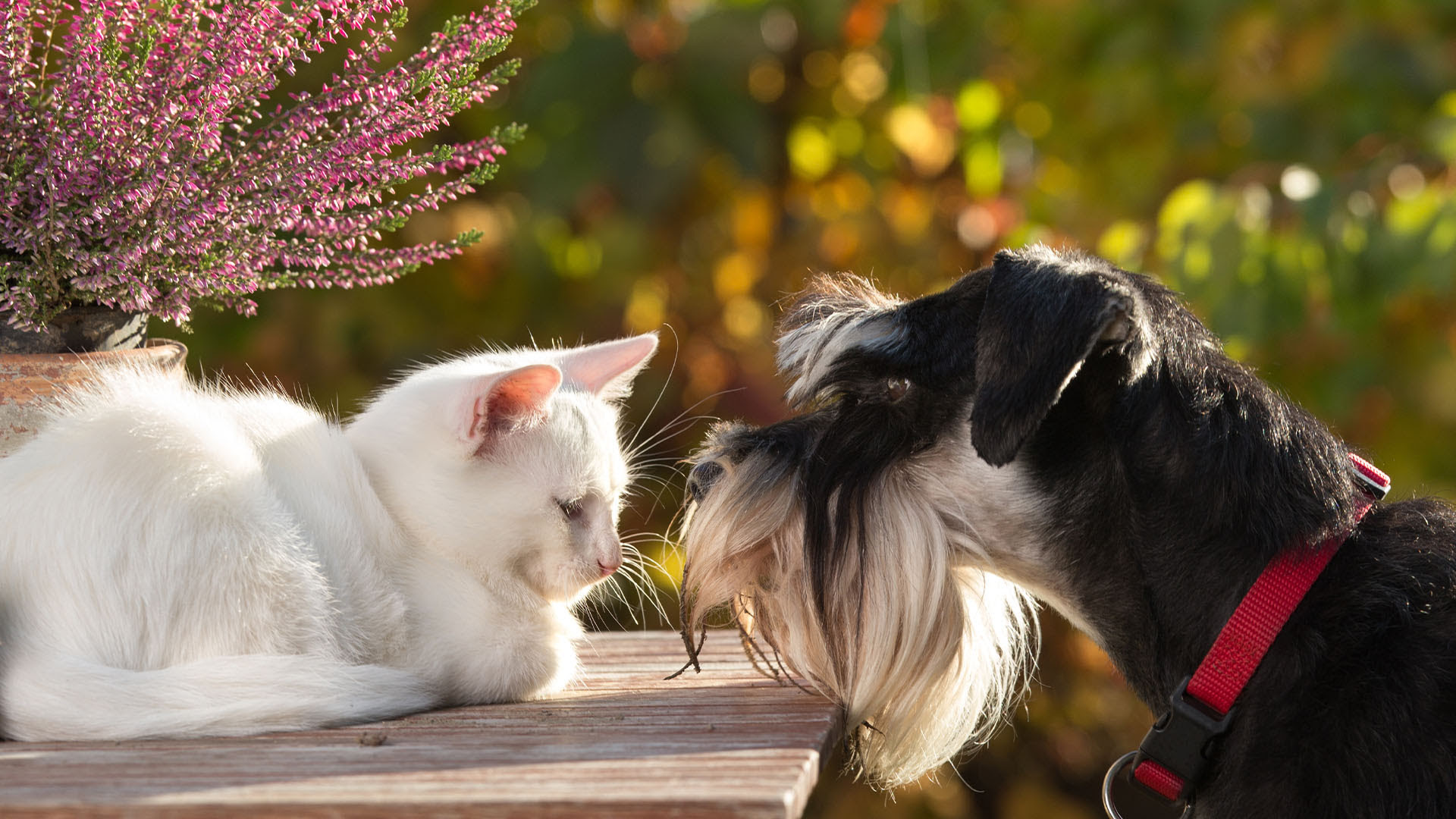 When Being Right Isn’t Worth It: Choosing Peace Over the Need to Be Understood