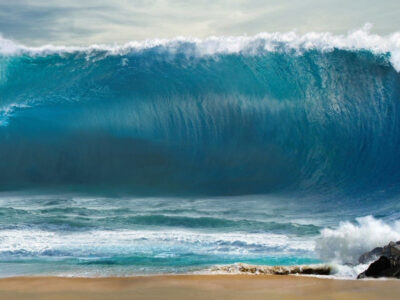 Facing the Tsunami of life