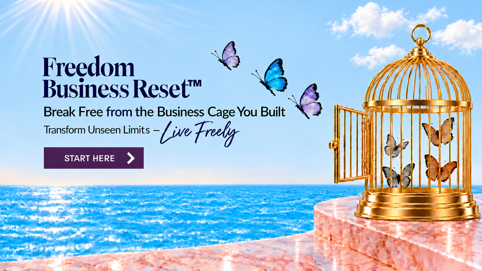 Freedom-Business-Reset